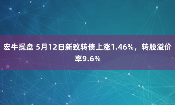 宏牛操盘 5月12日新致转债上涨1.46%，转股溢价率9.6%