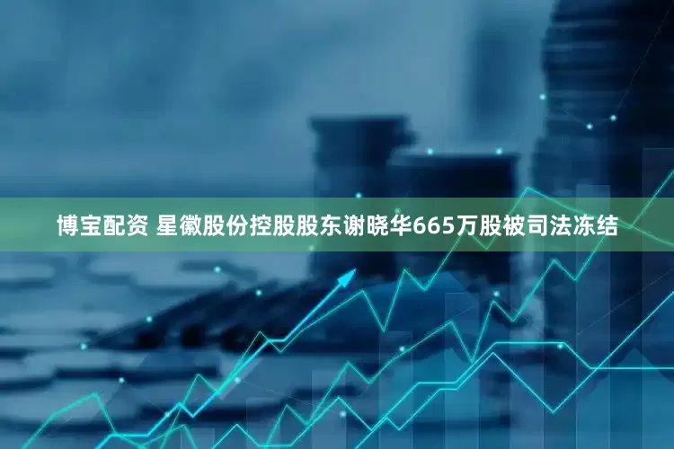 博宝配资 星徽股份控股股东谢晓华665万股被司法冻结
