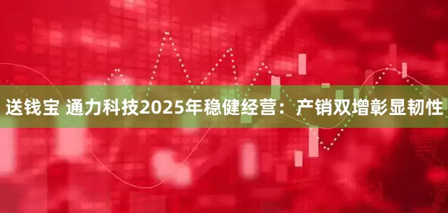 送钱宝 通力科技2025年稳健经营：产销双增彰显韧性